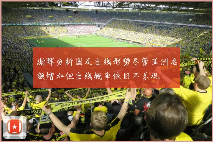 谢晖分析国足出线形势尽管亚洲名额增加但出线概率依旧不乐观