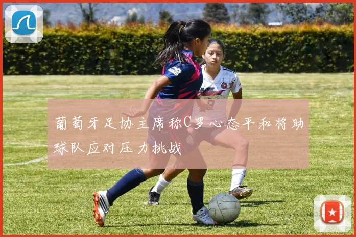 葡萄牙足协主席称C罗心态平和将助球队应对压力挑战